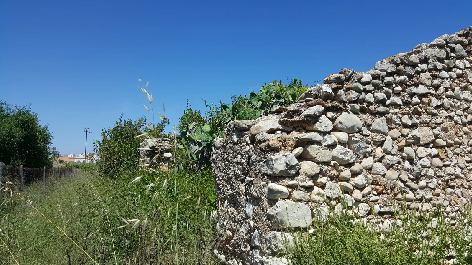Parcela