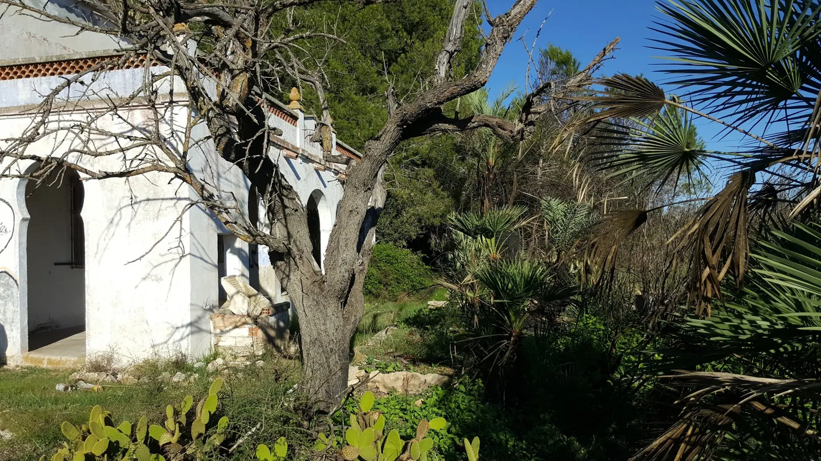 Finca Rustica