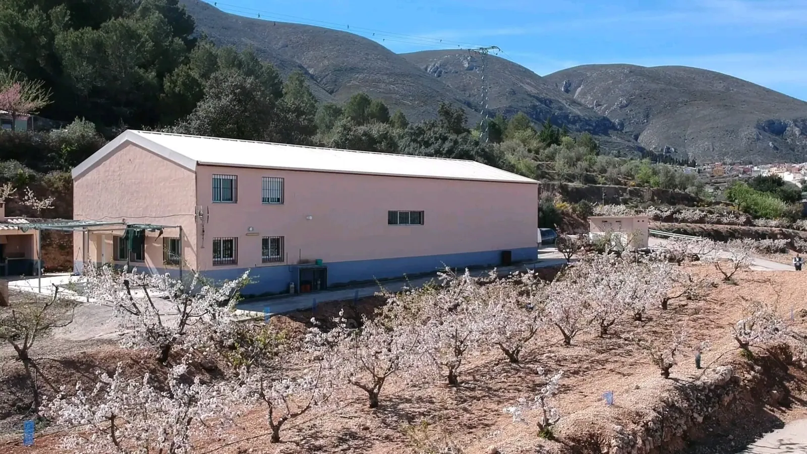 Finca Rustica (Agrícola)