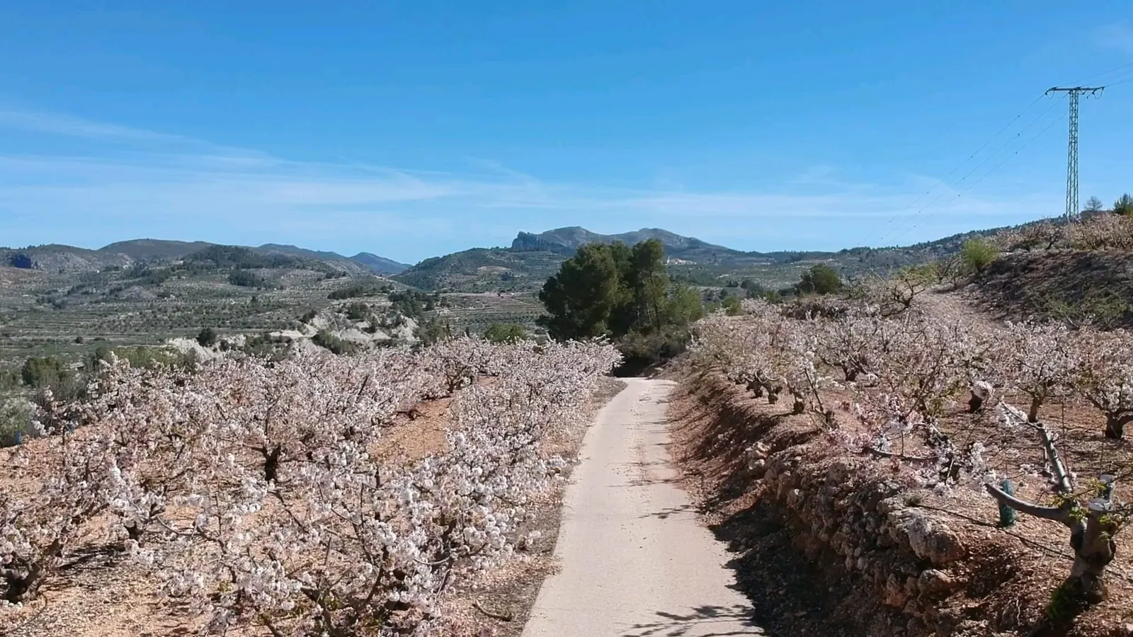 Finca Rustica (Agrícola)