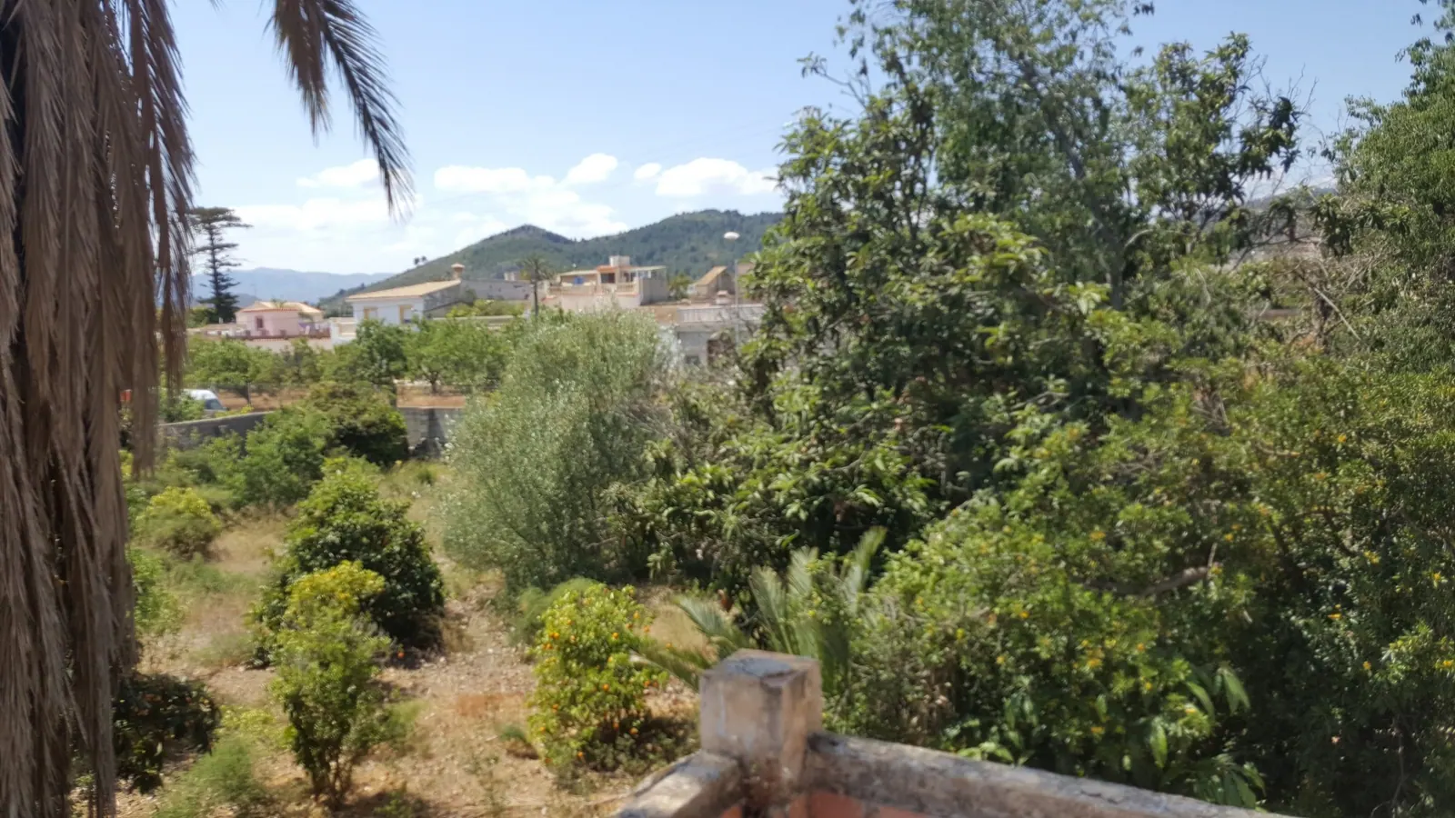 Finca Urbana