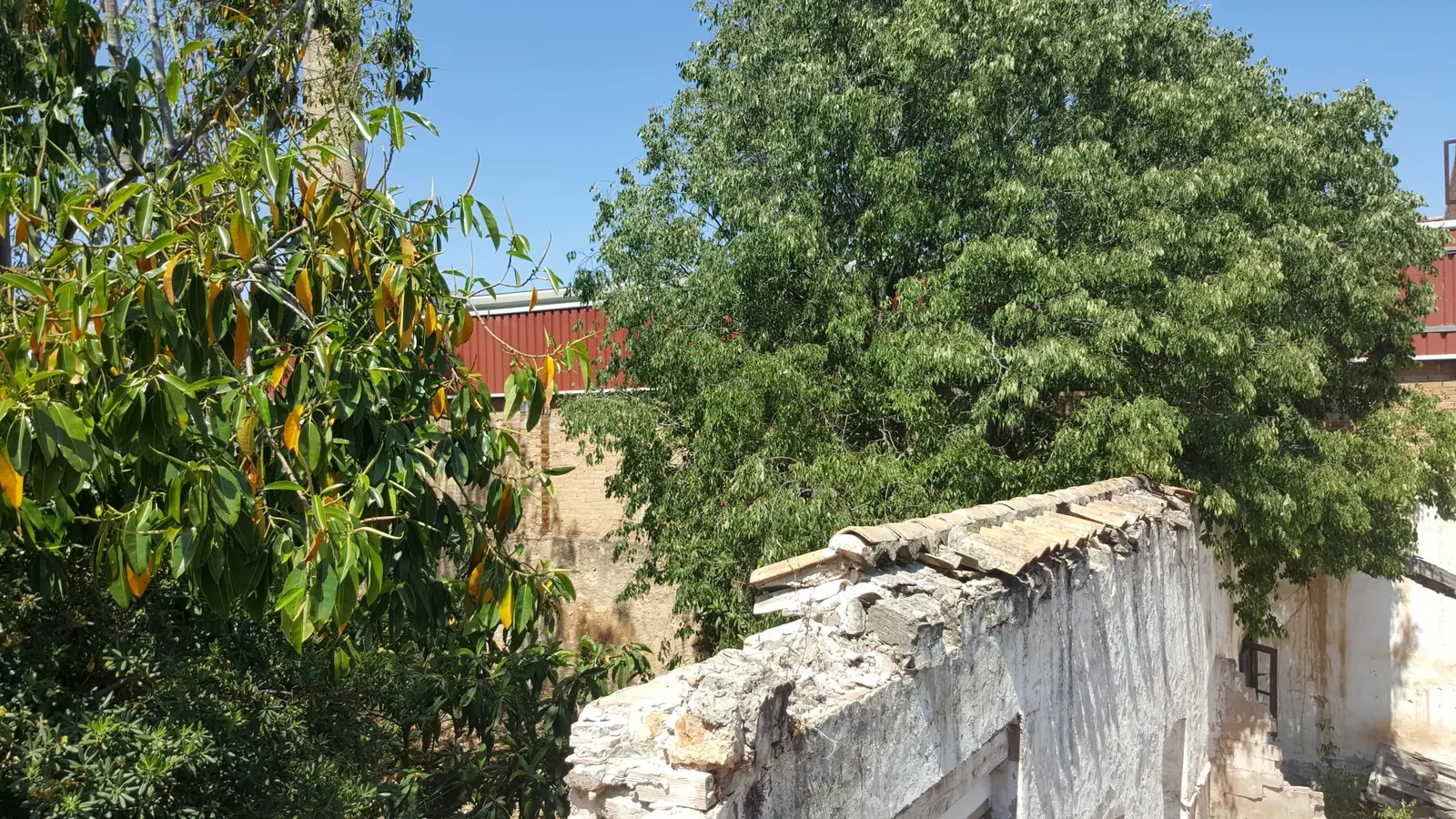 Finca Urbana