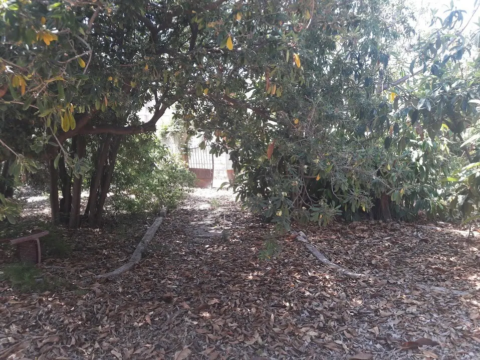 Finca Urbana